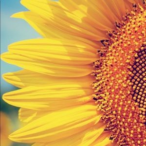 Meet your Posher, Cynthia